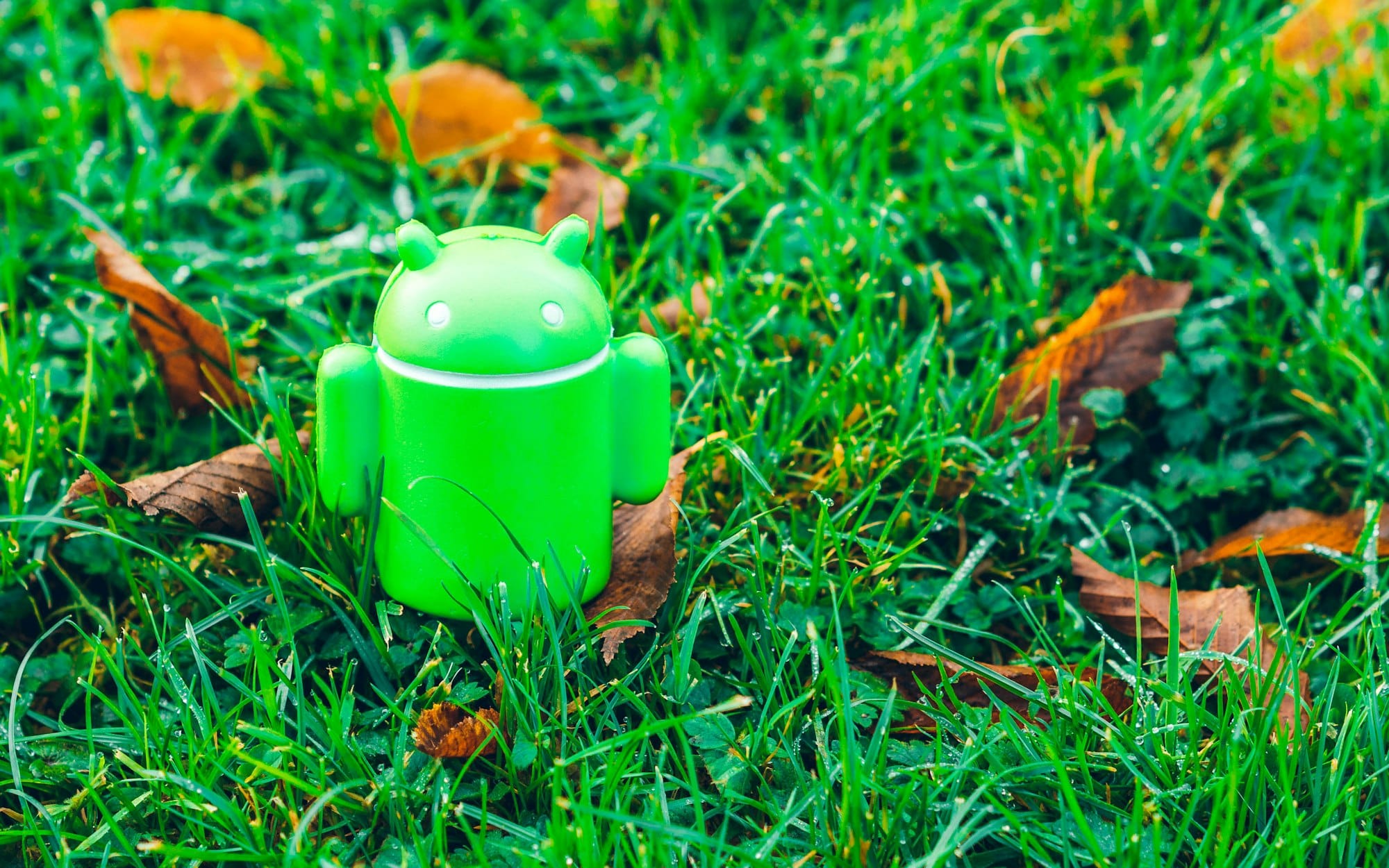 Android Was Built on Freedom. Google's Developer Verification Takes It Away