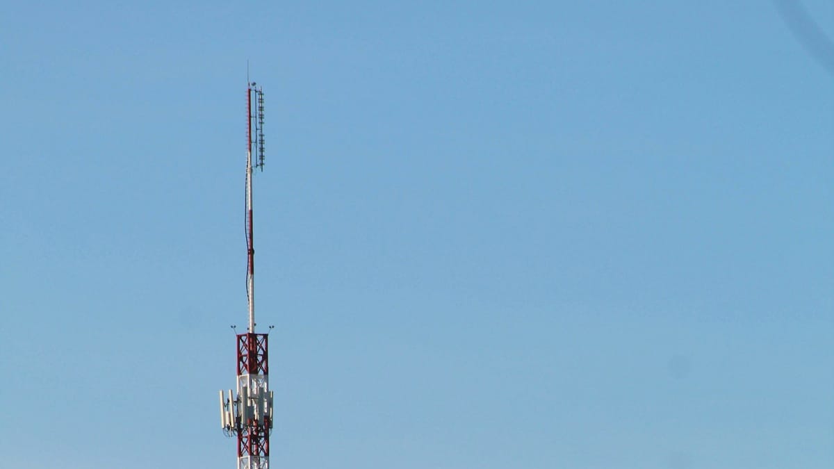 A red and white cell tower rising above trees against a blue sky